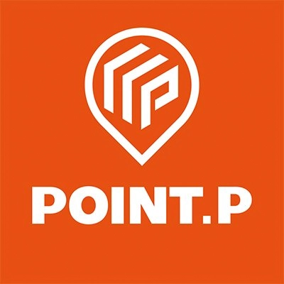 point p 1